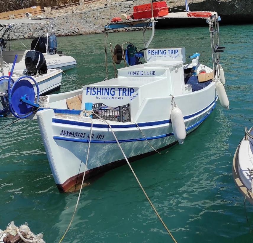 איה גליני Island Villa מראה חיצוני תמונה