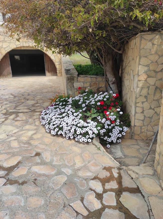 איה גליני Island Villa מראה חיצוני תמונה