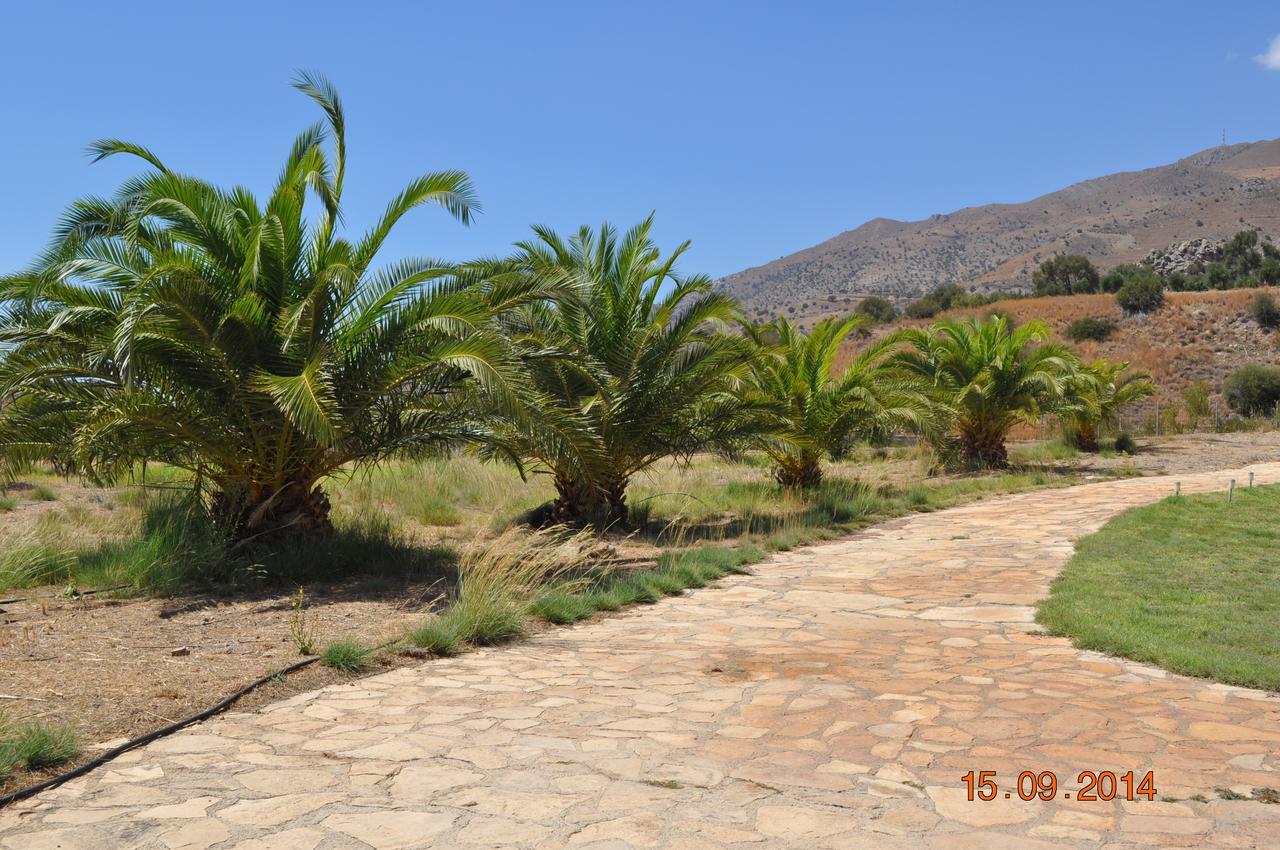 איה גליני Island Villa מראה חיצוני תמונה